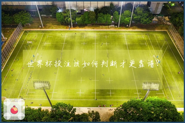 世界杯投注该如何判断才更靠谱？