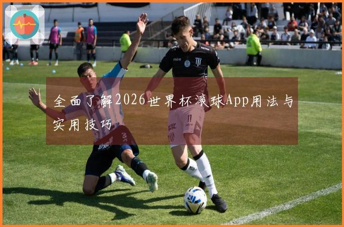 全面了解2026世界杯滚球App用法与实用技巧